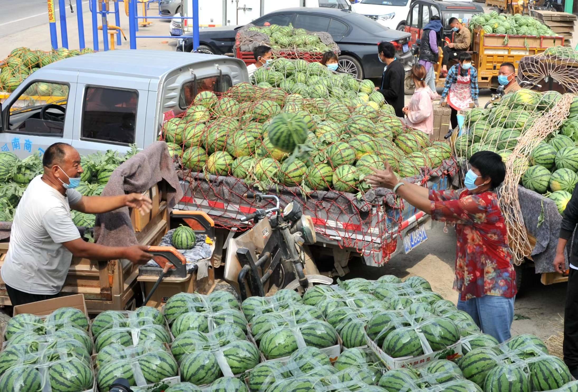 夏邑：发展高效农业 助推乡村振兴