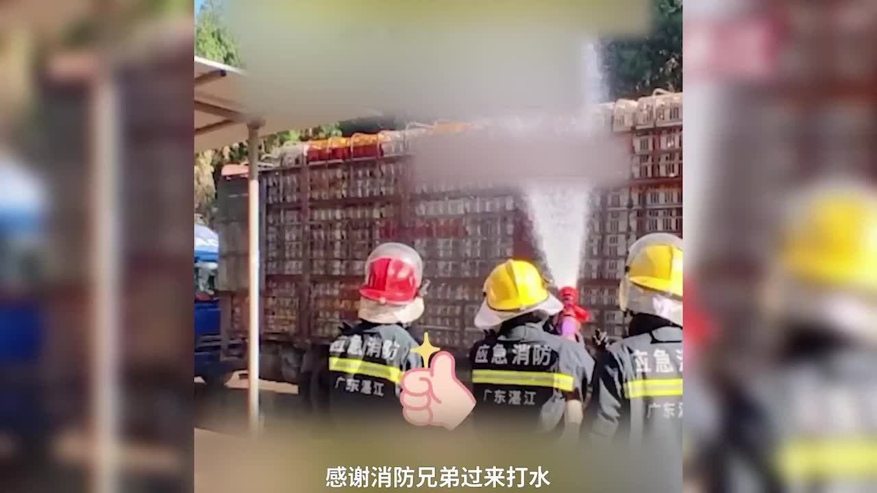 消防员为中暑的鸡降温，“高温鸡”变“落汤鸡”