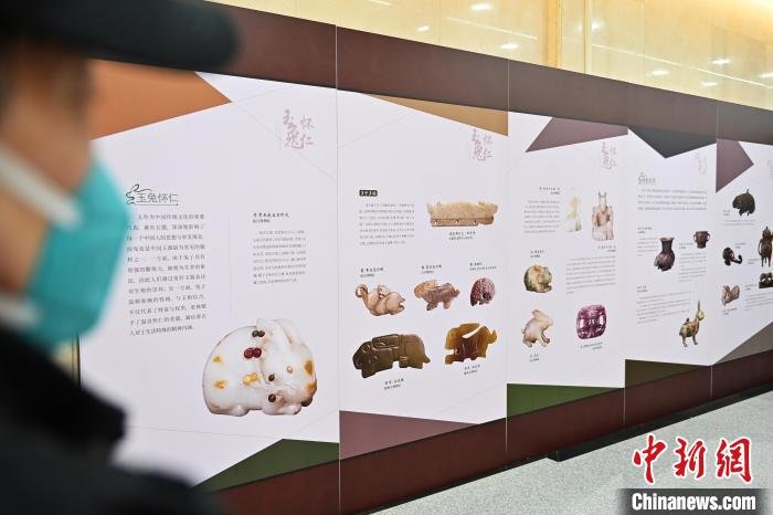 图为1月25日，甘肃省博物馆内，游人走过兔形文物图片展区。　李亚龙 摄