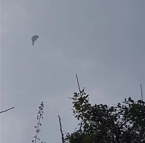 凤凰晚报|春晚启动所有应急预案,沈腾检讨;载人热气球爆炸坠落,多人送医