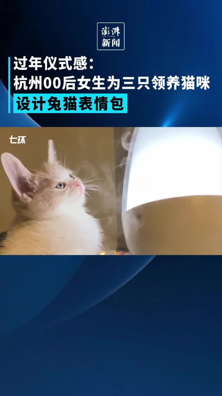 过年仪式感：杭州00后女生为三只领养猫咪设计兔猫表情包