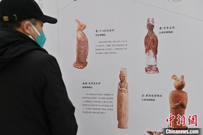 图为1月25日，甘肃省博物馆内，游客正在参观兔俑文物图。　李亚龙 摄