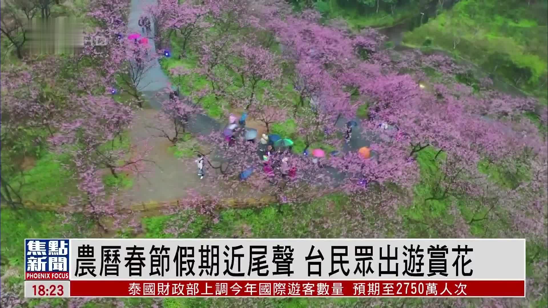 农历春节假期近尾声 台湾民众出游赏花