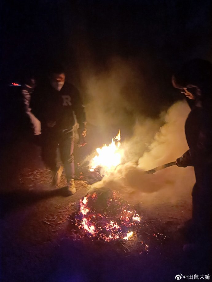 西北农村年味有多浓？从“田鼠大婶”日记里溢出来了