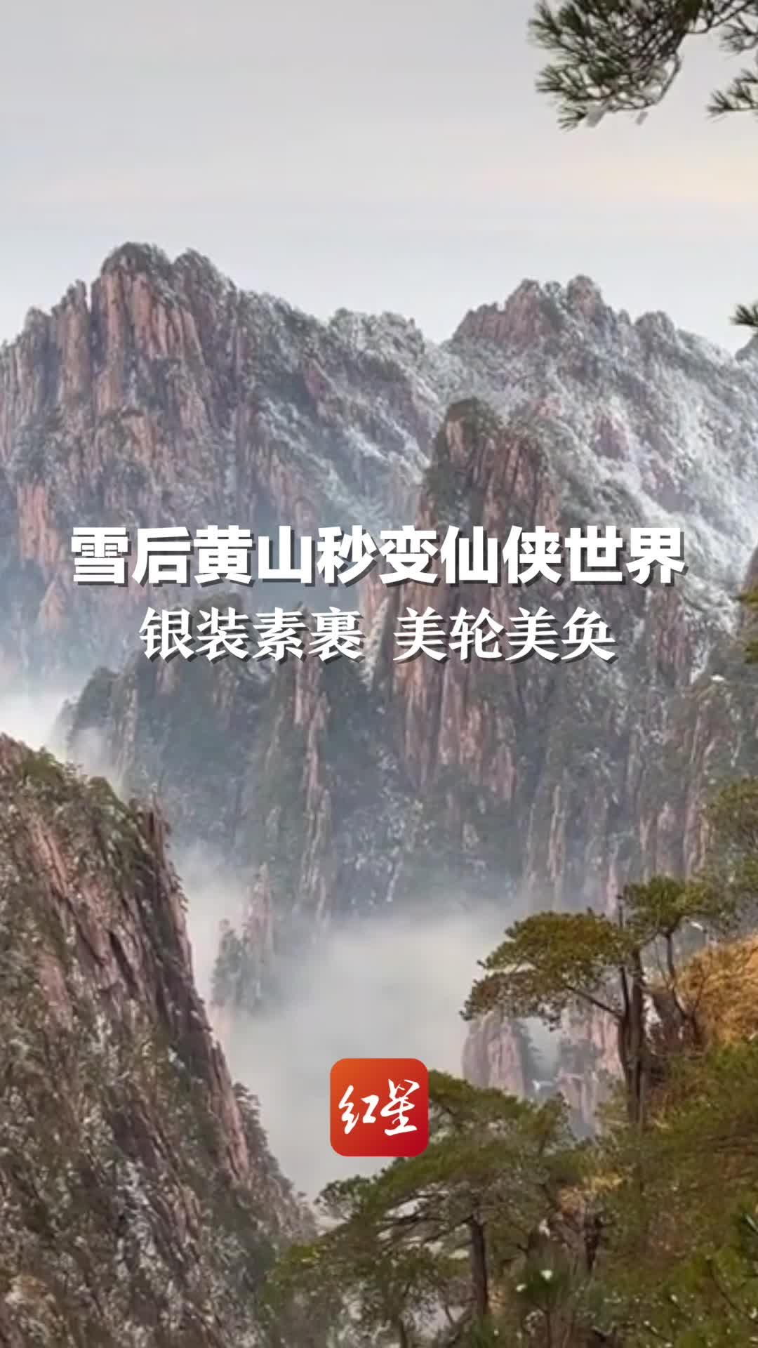 雪后黄山秒变仙侠世界，银装素裹 美轮美奂