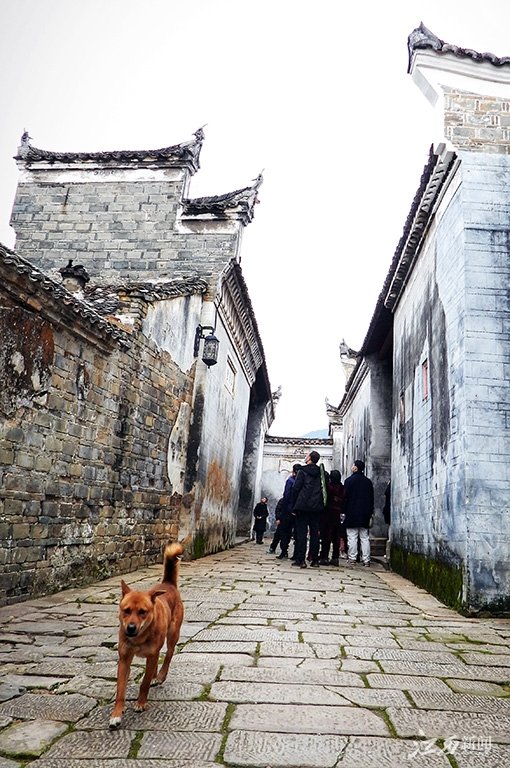 ▲古村文化厚重，游人络绎不绝。