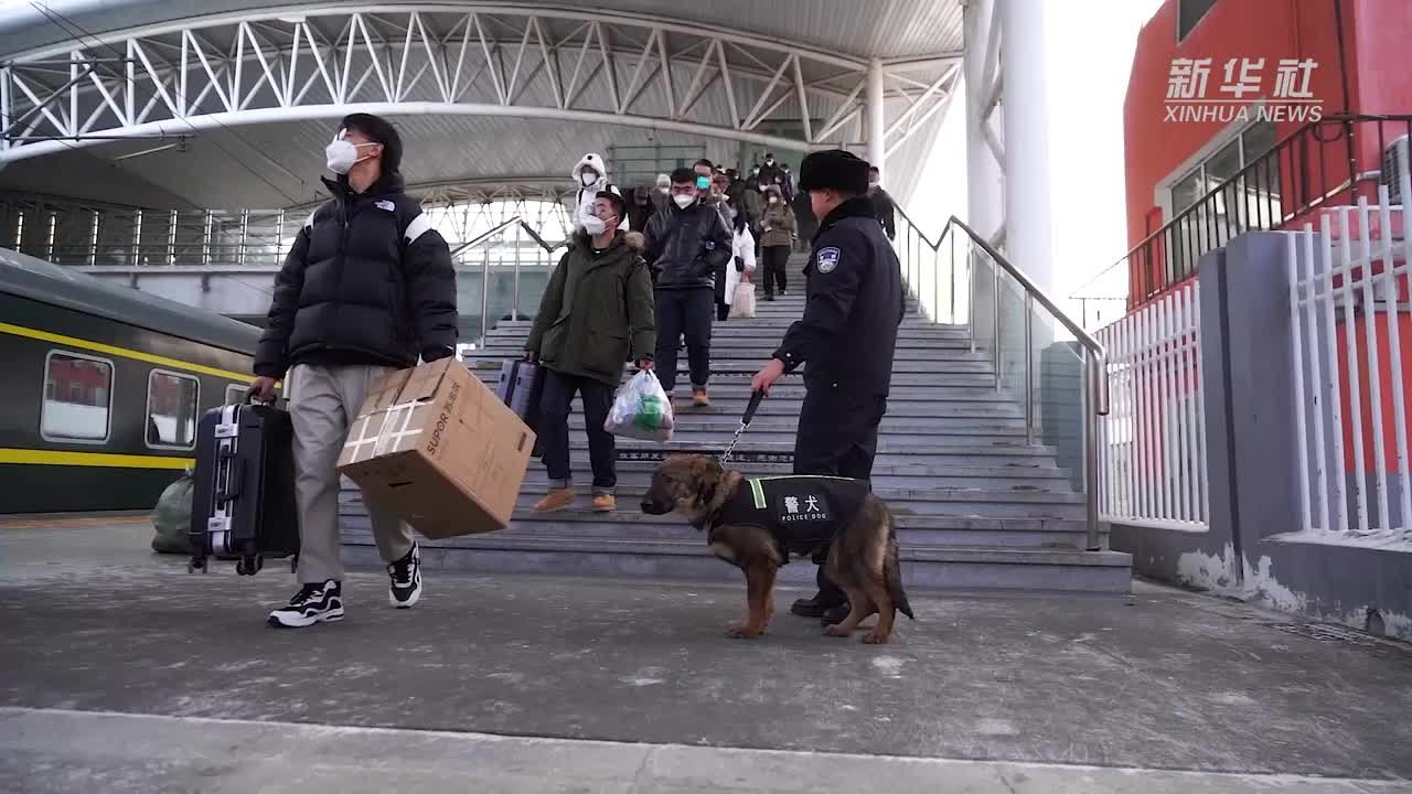 2023春运：警犬蒙E的春运