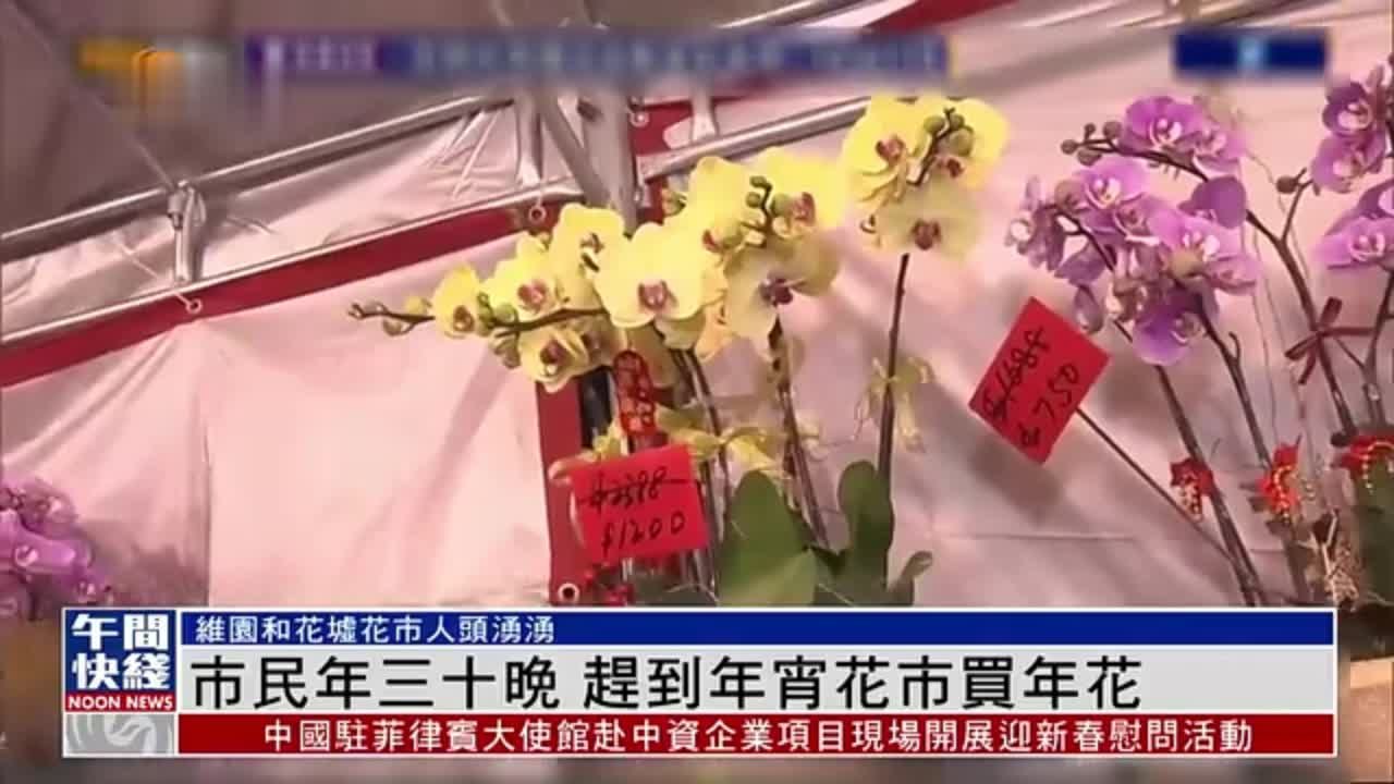 粤语报道｜香港市民年三十晚 赶到年宵花市买年花