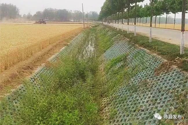 沛县:农田退水治理 让“肥水”不外流