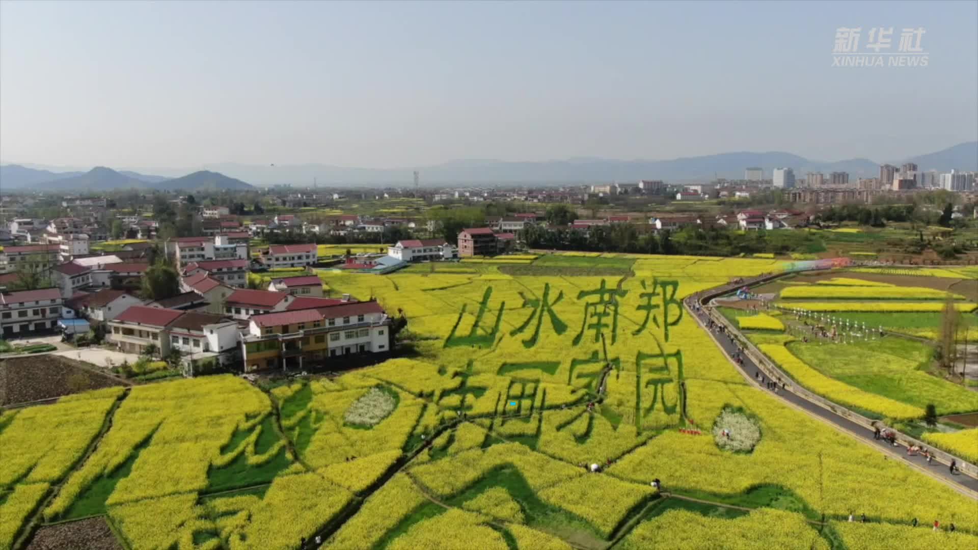 新春走基层｜油菜育种人的新年愿望：既种田也种“风景”