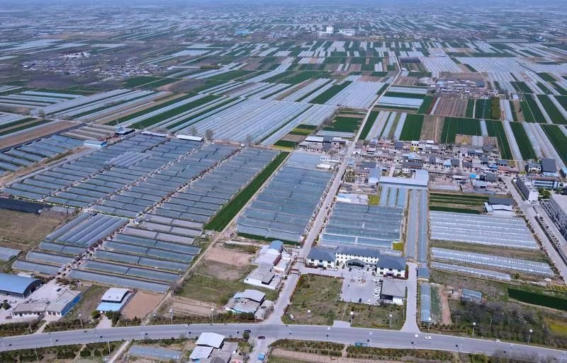 资料图：无人机视角下的阎良区关山街道北冯村果蔬大棚全景