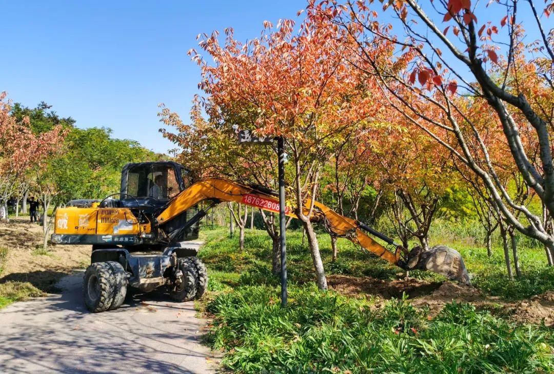 “颜值”“功能”双提升 睢宁民生工程让居民生活更舒适