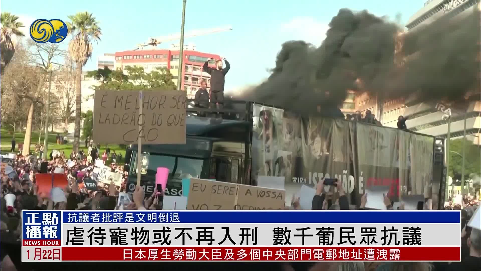 虐待宠物或不再入刑 数千葡萄牙民众抗议