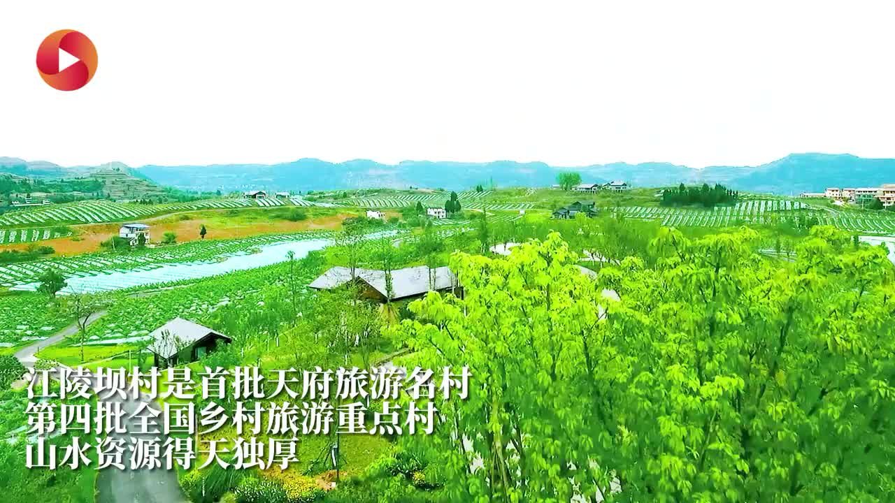 很好的样子｜四川南充高坪区江陵坝村：小山村变身全国乡村旅游重点村