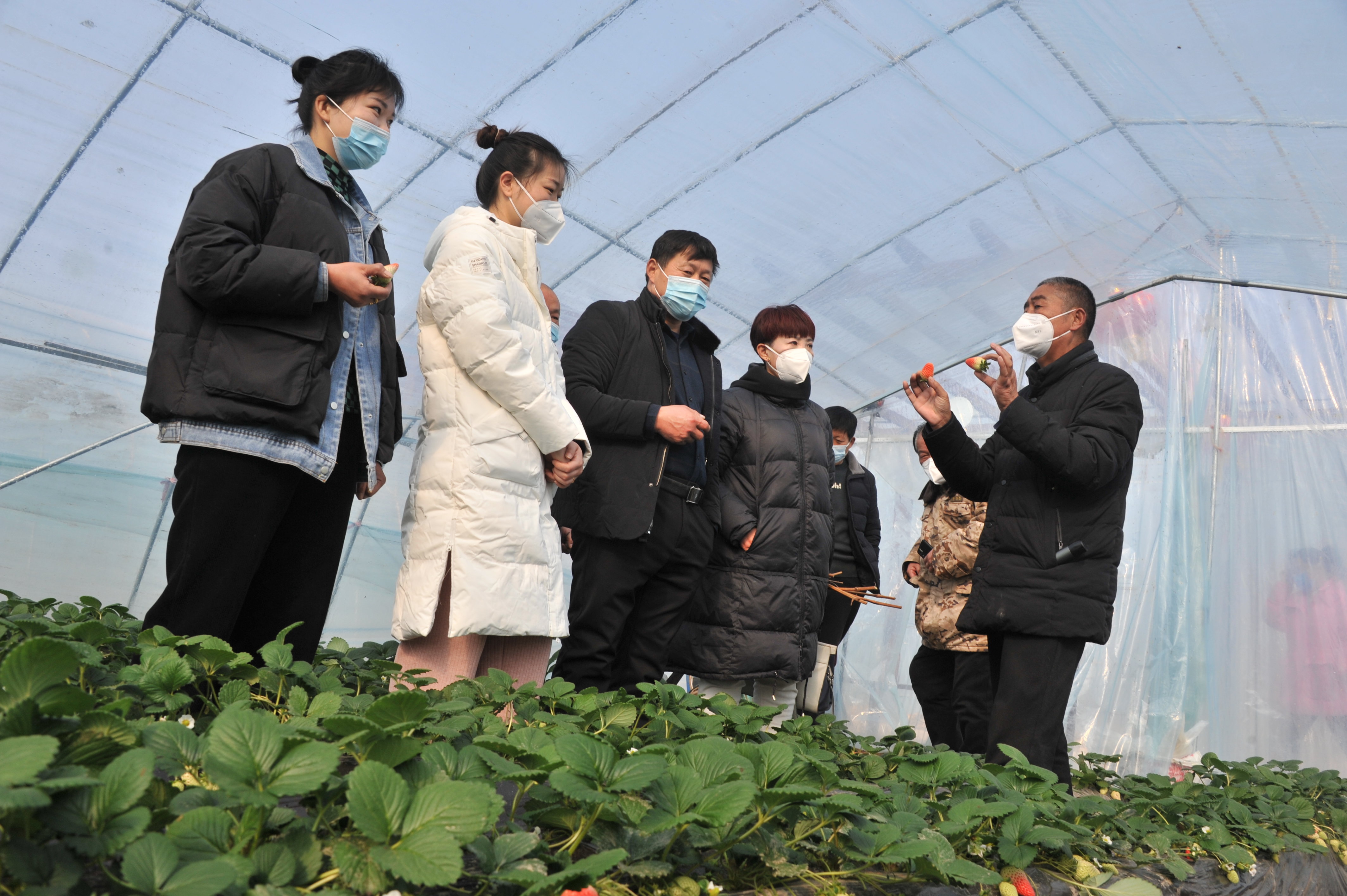 河南夏邑：科技顾问俏乡村