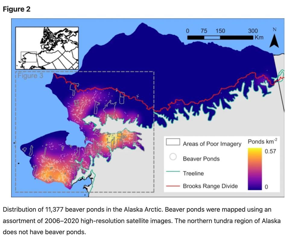 美国阿拉斯加北极苔原11377个“河狸水塘”的密度图（Tape et al. 2022）