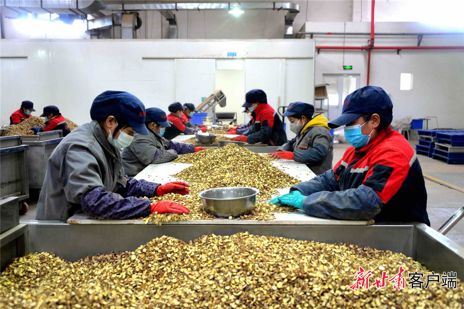 生产车间里工作人员有序忙碌中 新甘肃·甘肃日报通讯员 崔翔龙 摄