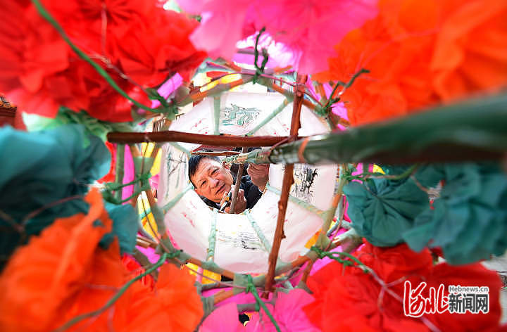 河北：迎元宵 花灯俏3.jpg