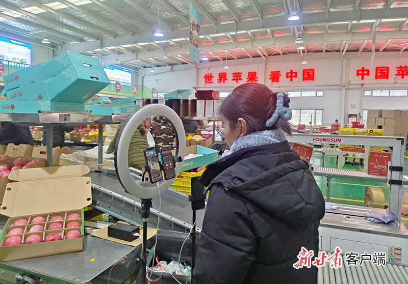 静宁县德美集团主播直播卖苹果 新甘肃&middot;甘肃日报记者 田丽媛 摄