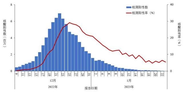全国报告人群新型冠状病毒核酸检测阳性数及阳性率变化趋势 图片来源:中国疾病预防控制中心