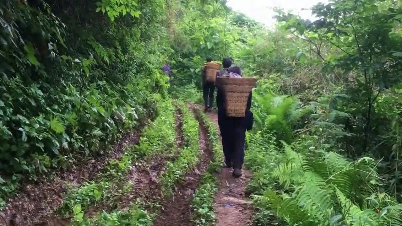 前往天坑的道路多是荒山密林，考察队跟随向导穿越21千米的无人区