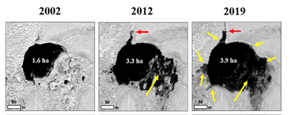 河狸对北极苔原水环境的改变，红色箭头表示河狸的水坝，黄色箭头是可能的永久冻土融化地点（图片来源：Jones et al, 2020）