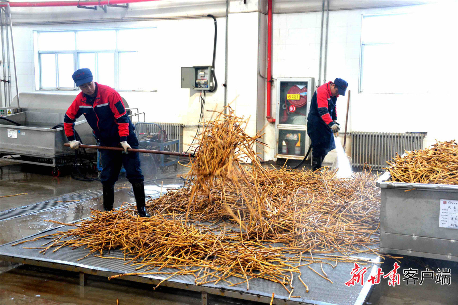 生产车间里工作人员有序忙碌着 新甘肃·甘肃日报通讯员 崔翔龙 摄