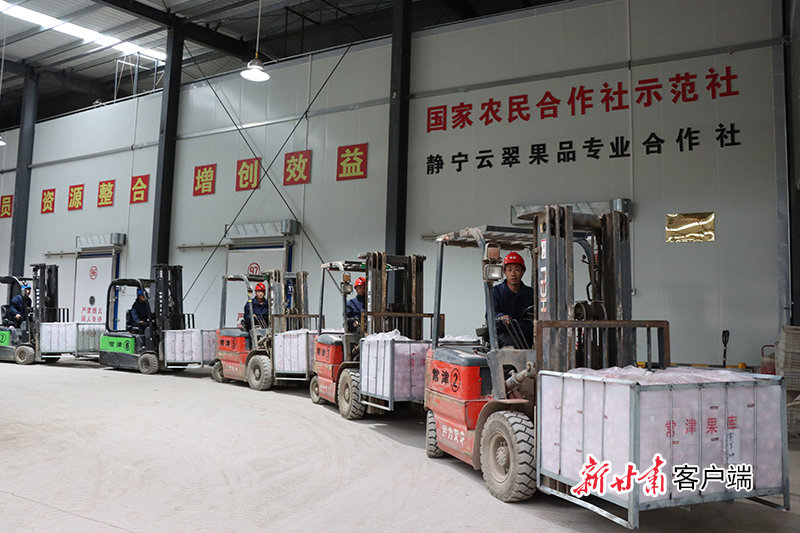 静宁常津果品有限责任公司储藏团队
