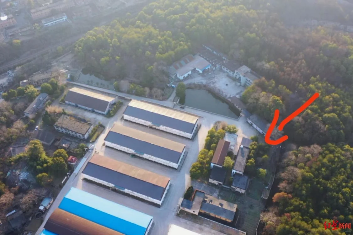 凤凰晚报|胡鑫宇家属透露遗体发现时状态;世卫就新冠大流行发布最新声明