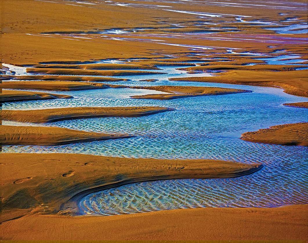6. 福建闽江河口国际重要湿地
