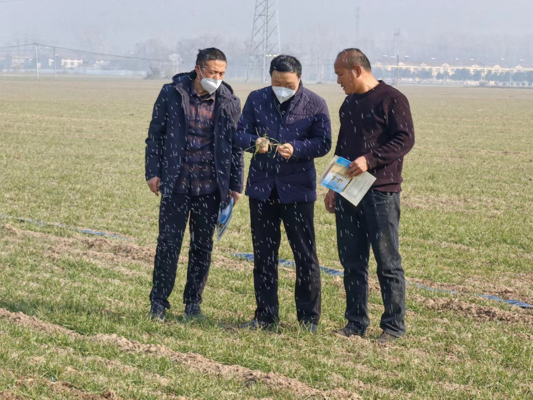 河南夏邑：科技顾问俏乡村
