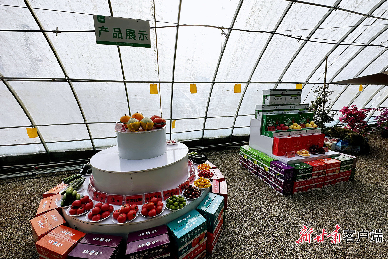 戈壁果蔬产品展示 董文龙 摄