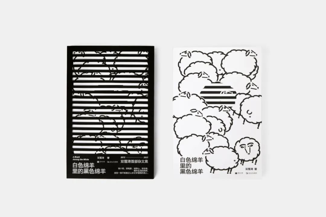 双雪涛浮出东北