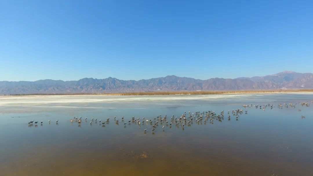 1. 北京野鸭湖国际重要湿地