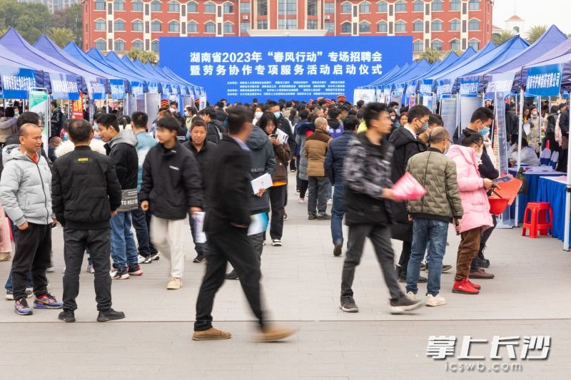 随后，曹周又来到线下招聘专区与求职者面对面沟通。“政府搭建平台、广泛宣传，影响力很大，来求职的人非常多，我们已经收到很多简历！”曹周不禁为“春风行动”点赞，她认为，这在提高企业招工效率的同时，也大大降低了企业招聘成本。
