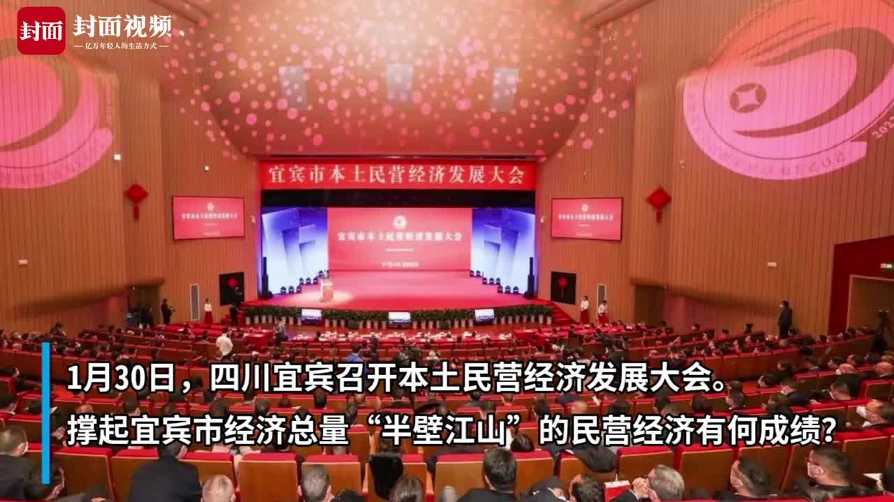 为何能撑起全市经济总量“半壁江山”？一个视频“数读”四川宜宾民营经济