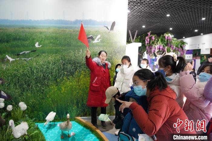 “候鸟生命线”天津行动已救助受伤鸟类近500余只