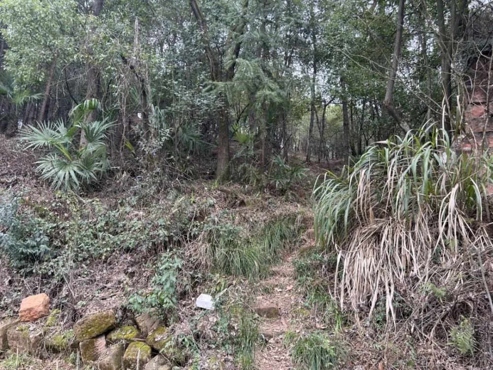 致远中学西侧上山路有警力把守