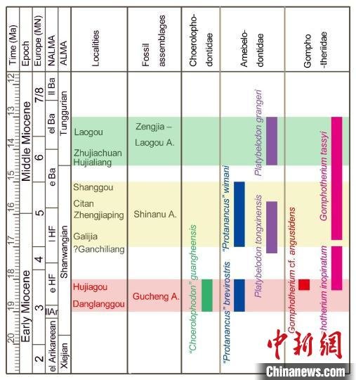 最新研究：1600万年前中国北方与南亚和非洲嵌齿象类直接交流