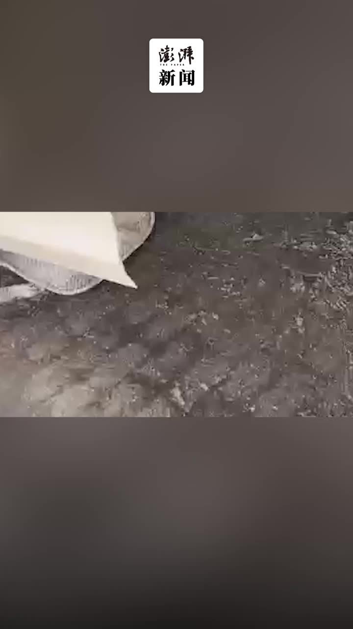 3名聋哑人经营洗车店，服务周详获顾客点赞