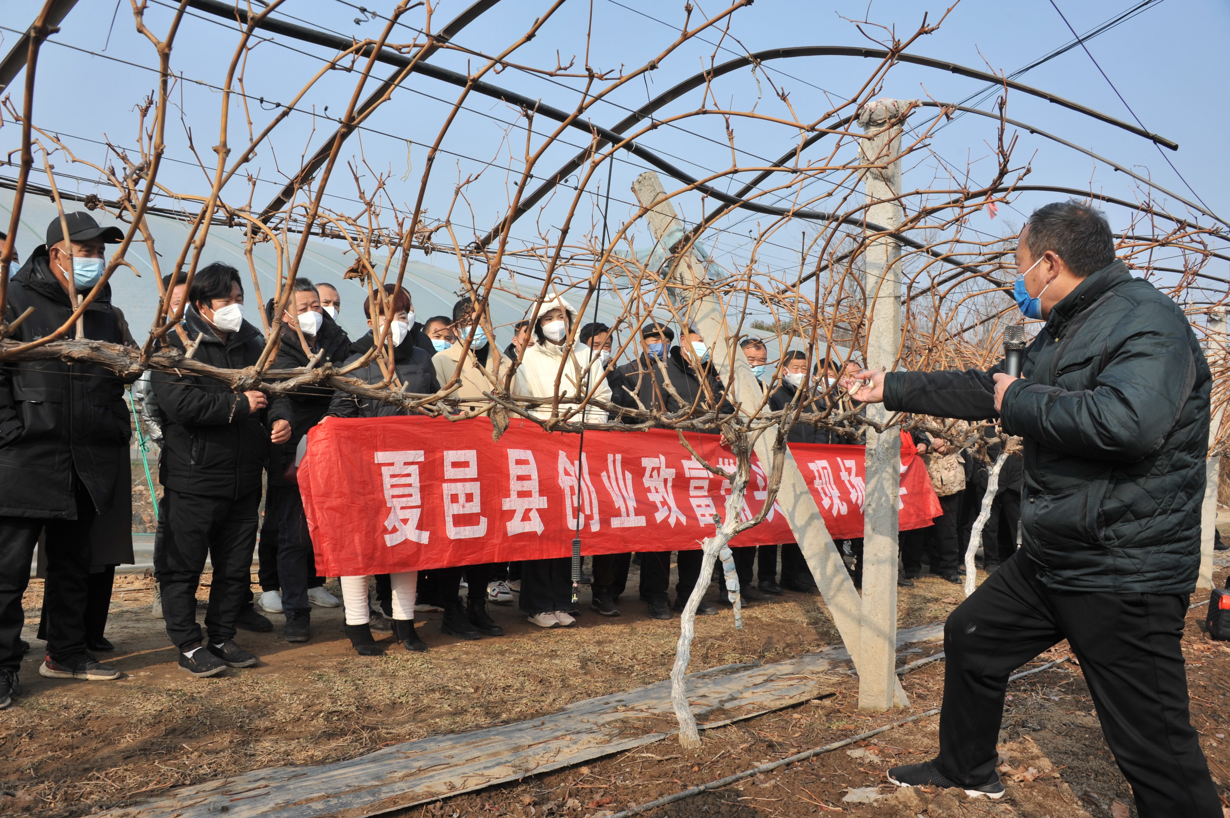 河南夏邑：科技顾问俏乡村
