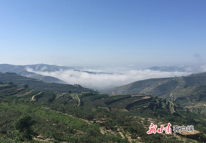 静宁常津果品有限责任公司苹果基地