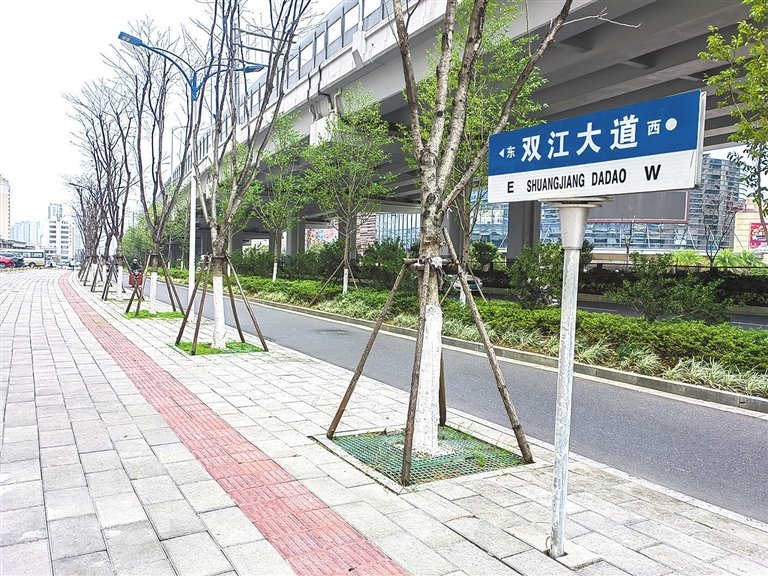 道路南侧树立的路牌为双江大道。