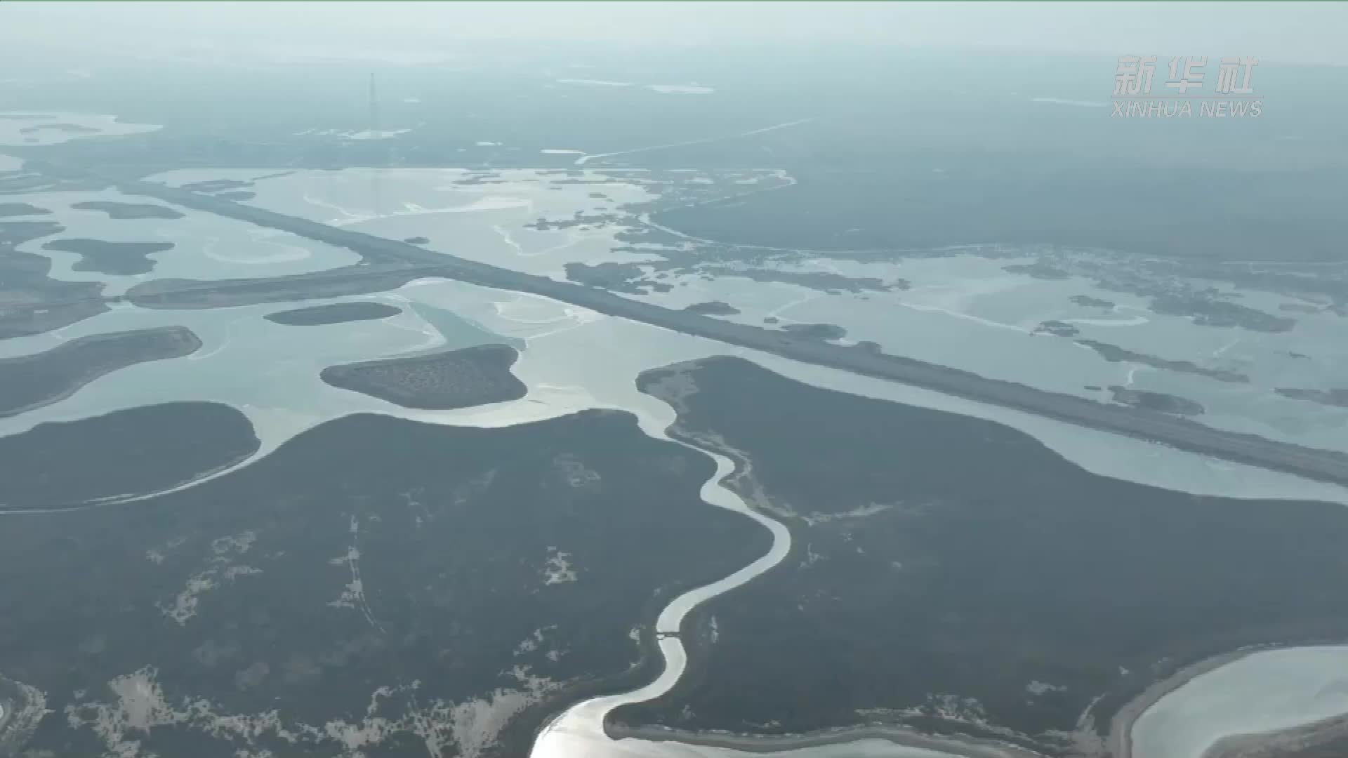 新春走基层｜黄河三角洲自然保护区：守护湿地候鸟“新家园”