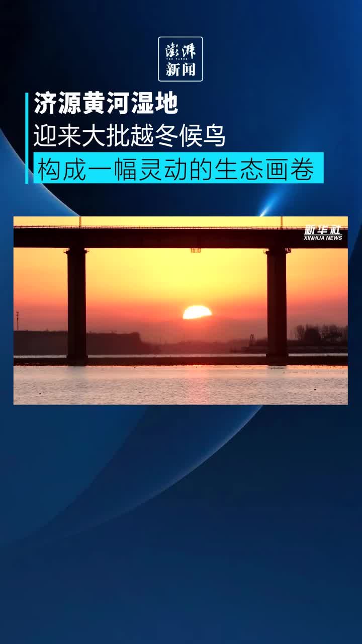 济源黄河湿地迎来大批越冬候鸟_凤凰网视频_凤凰网