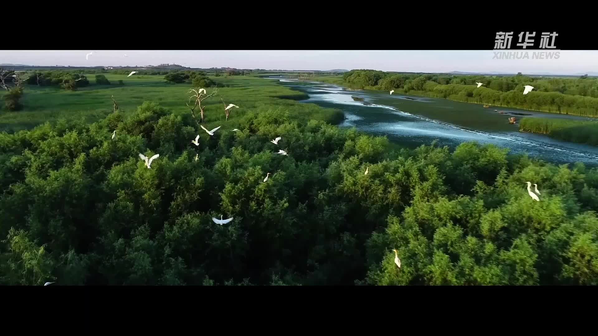 微视频｜绿意流彩