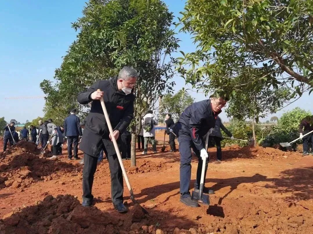 节后首个工作日，省委教育工委、省教育厅在江西机电职院新校区开展2023年新春义务植树活动
