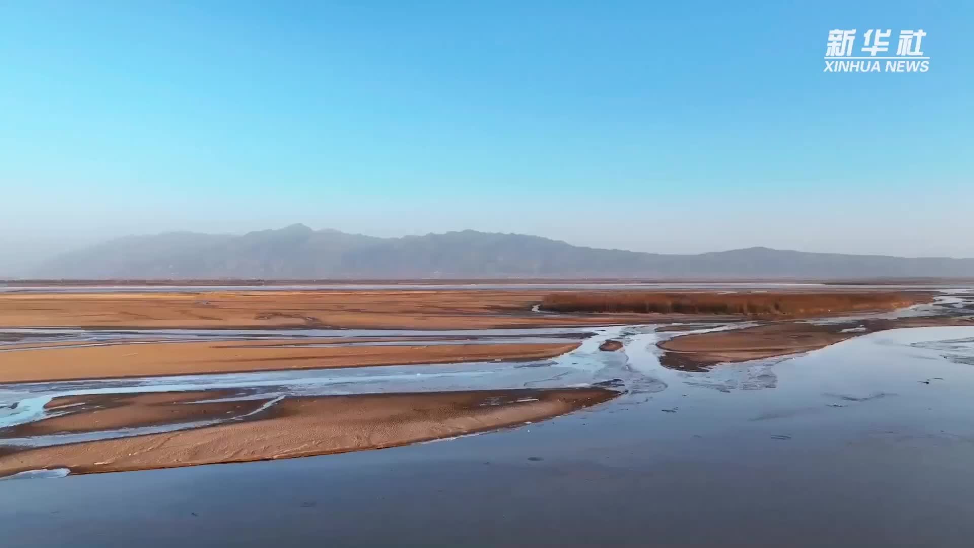 千城胜景｜黄河大荔段迎来北归候鸟