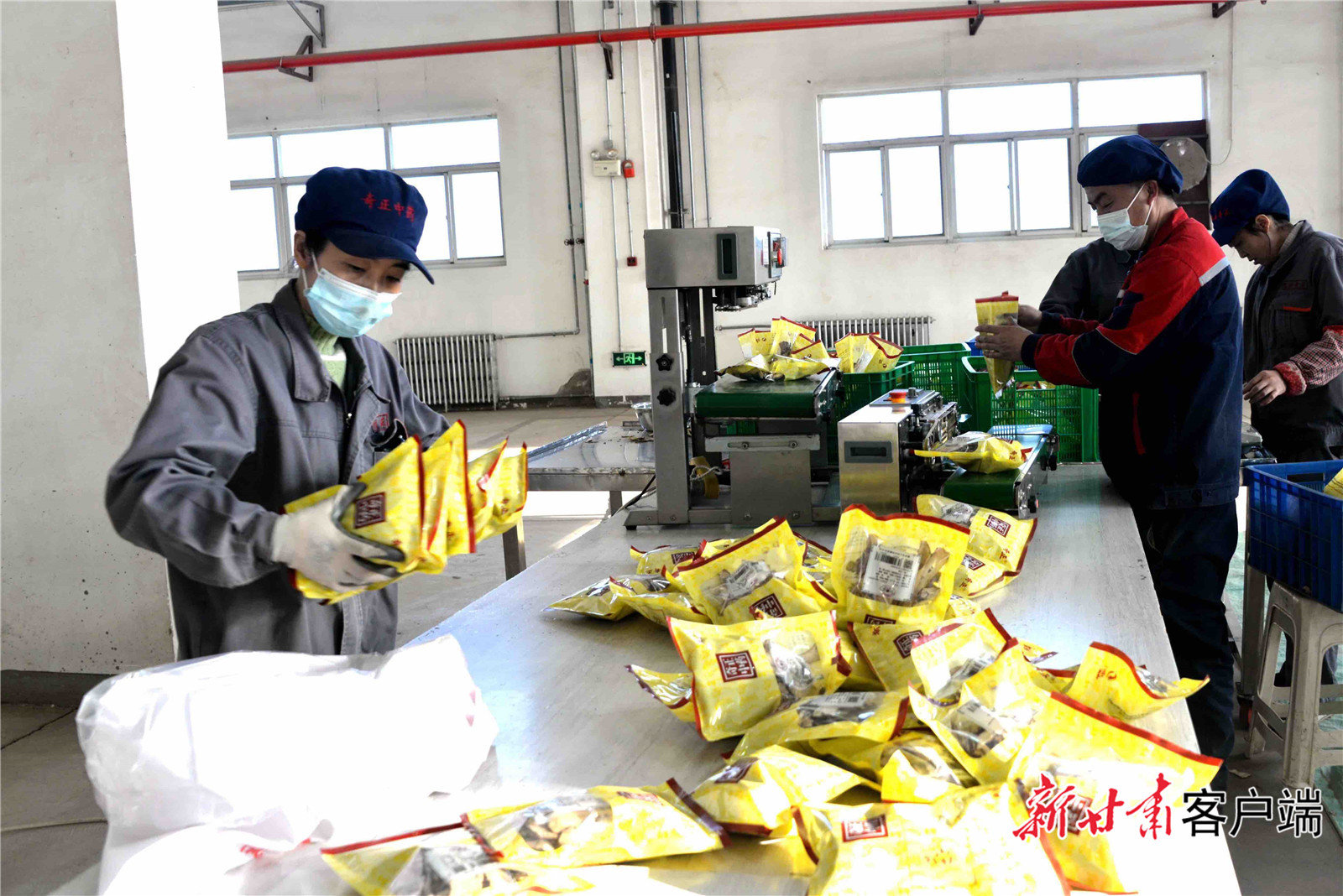 生产车间，工作人员正在进行包装。新甘肃·甘肃日报通讯员 崔翔龙 摄