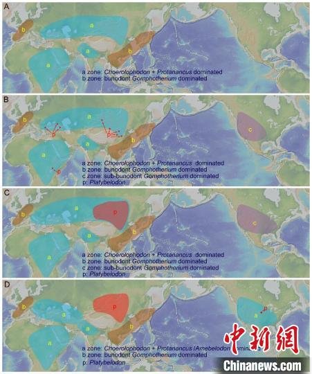 嵌齿象类在早-中中新世的扩散模式和组合特征。　中科院古脊椎所 供图